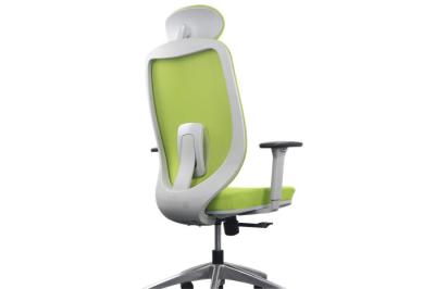 China Green Mesh Adjustable Ergonomic Chair , H1165-1260MM Ergo Computer Chair for sale