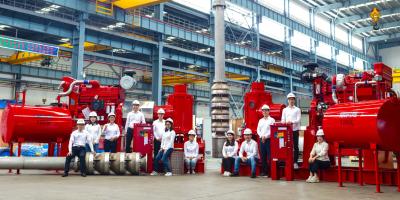 Cina Guarnizione di imballaggio verticale centrifuga della ghiandola della pompa antincendio della turbina di VTP UL/FM/- V01 in vendita