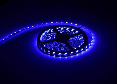 China RGBW led strip SMD5050 300 leds 5M per roll Christmas decorating light for sale