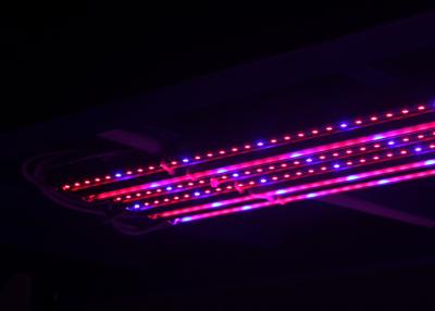 China Waterproof Led Grow Bar , Led Grow Lamps Integrated Structure Red And Blue Spectrum for sale