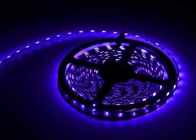 Chine Lumières de bande flexibles décoratives des lumières RGBWW LED 12V Samsung polychrome 5050 à vendre