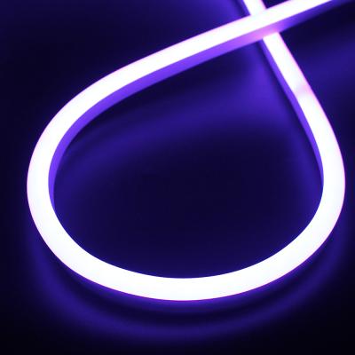 China Flexible Waterproof 10m 45lm/w Led Neon Rope Light 1000*12mm for sale