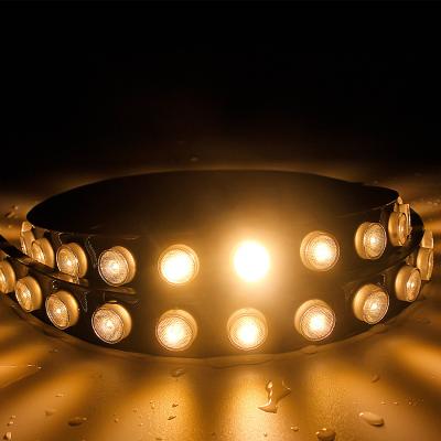 China IP67 SMD2835 42pcs Flex Wall Washer Led Strip Light With Lens for sale
