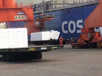 China Agente de transmissão internacional From China Qingdao do serviço de transporte do mar a Itália Veneza à venda