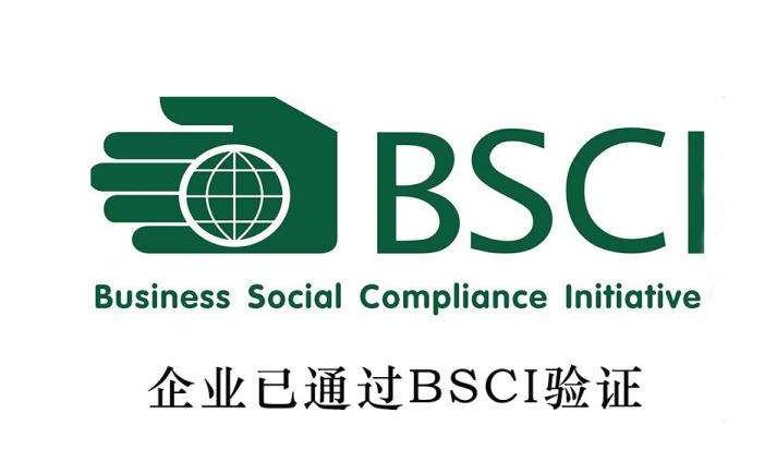 BSCI - LUCKY GREAT INDUSTRY (HONG KONG ) LIMITED