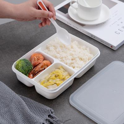 China Eco Friendly BPA Free PP Plastic Bento Lunch Box For Kids for sale