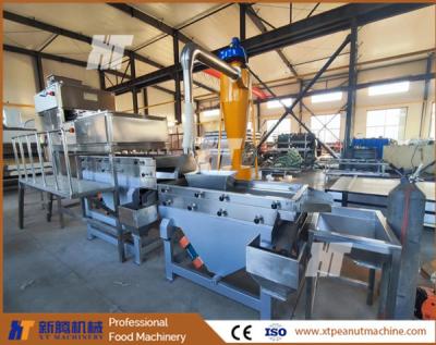 Cina Macchine per la lavorazione delle arachidi lineari Macchina per il setaccio a vibrazione Macchina per tagliare le arachidi in vendita