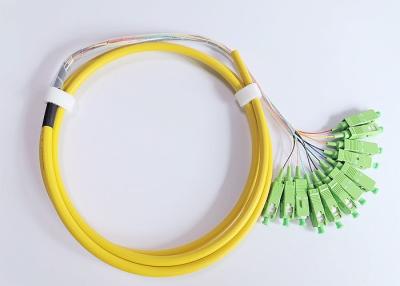 China Machine Polishing 12F Fiber Optic Pigtail 0.9mm G657A1 Distribution Cable for sale