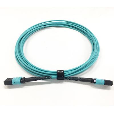 China Cordón de remiendo de Data Center 8F Nissin Om3, cable del tronco de Mpo de la pérdida del estándar de los 5M en venta