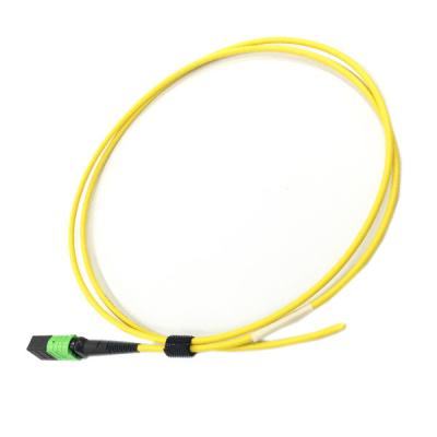 China 8F MPO / APC Fiber Optic Pigtail Splicing , Single Mode LSZH Patch Cord Pigtail for sale