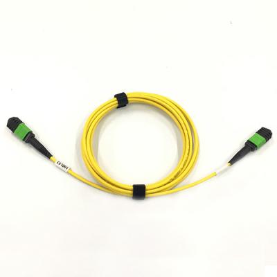China 12F MPO To MPO Single Mode Patch Cord , Loss MPO Fiber Optic Patch Cord 3M Standard for sale