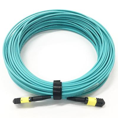 China 12 Core MPO Patch Cable for sale