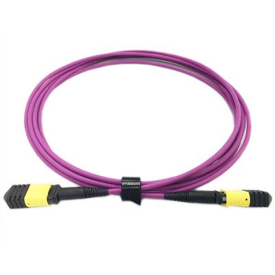 China OFNP MPO Patch Cable for sale