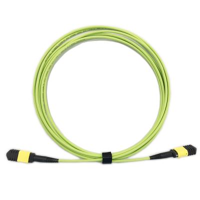 China OM5 24 base Mpo al cable de Mpo, verde lima de pequeñas pérdidas de fibra óptica OFNR del cordón de remiendo en venta