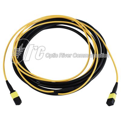 China 12 Fibers LSZH Single Mode 4.5mm MPO Patch Cord for sale