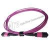 China Multi Mode 12F OM4 Magenta MPO Patch Cable Female To Female for sale
