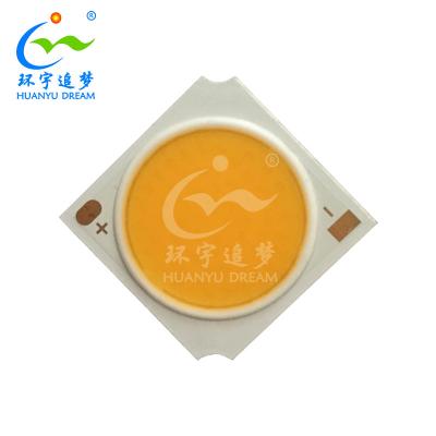 China 1313 1919 2828 LED COB Chip 3W 10W 100W High Brightness for sale