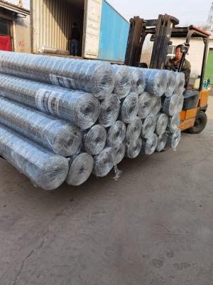 China forma larga galvanizada sumergida caliente del agujero de la malla de alambre del 1.2mx30m Q195 Stee en venta