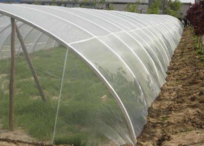 China 40x25mesh Plastic Wire Mesh 30-300m White Agricultural Greenhouse Insect Screen for sale