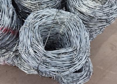 China Silver 2.5mm 14x14 Barbed Wire Electo Galvanized Barbed Wire for sale
