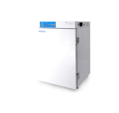 China Carbon Dioxide Cell Incubator HAJ-3-160 Air Jacket Type CO2 Cell Incubator for sale