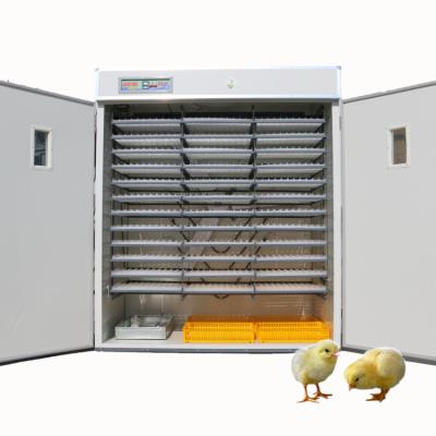 China Incubadora automática do ovo da máquina de 5000 ovos de choque das incubadoras dos ovos à venda