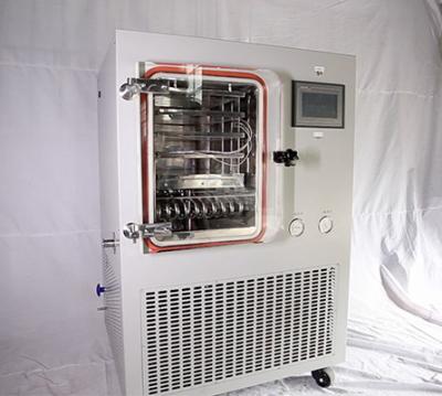 China Máquina de secagem mais seca corrente do gelo do gelo do vácuo do laboratório à venda