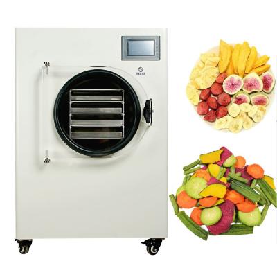 Chine Petit Mini Home Vacuum Freeze Dryer pour le fruit et le dessiccateur de gel de Vegertables à vendre