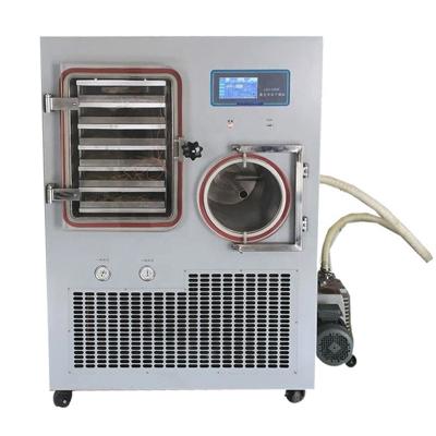China Laboratory Pharmaceutical Lyophilizer Vacuum Freeze Dryer Freeze Dryer for sale