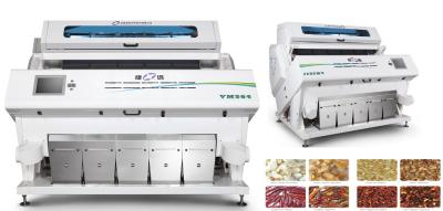 China High Reliability Color Sorter Machine For Processing Garlic Flakes for sale