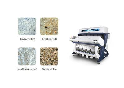 China 15t/H Millet Intelligent Rice Colour Sorting Machine for sale