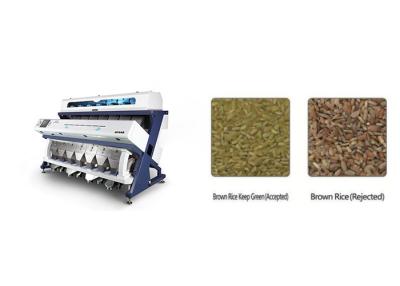 China Anysort SC448 7 Chute Sticky Rice Color Sorter Machine for sale