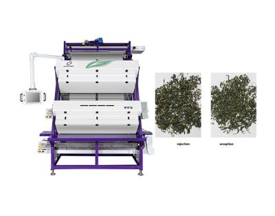 China Reliable Black / Green Tea Color Sorter Machine For Sorting And Grading for sale
