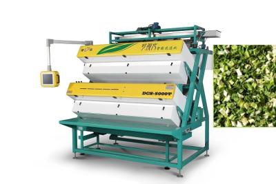 China ISO9001  Dried Veggies Vegetable Anysort Color Sorter AI Variable Light for sale