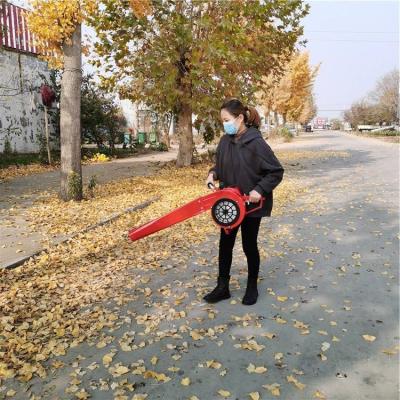 China cordless portable knapsack wind sweeper leaf blower snow blower forest Fire extinguisher lightweight leaf blower for sale