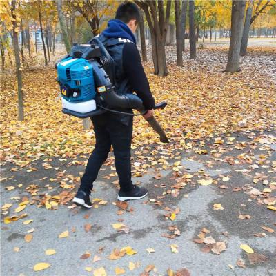 China Gasoline Leaf Blower Forest Fire Extinguisher FMBV415 Cordless Portable for sale