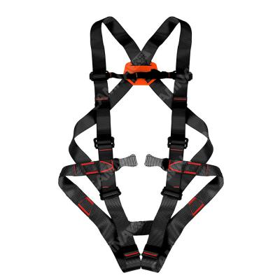 China Deportes extremos Escalada en roca Cinturón de seguridad de cuerpo completo con seda reforzada de poliéster en venta