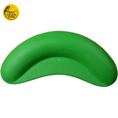 China XXL Size Gecko King Bouldering Wall Handles Climbing Holds 1pc Package Heavy Load for sale