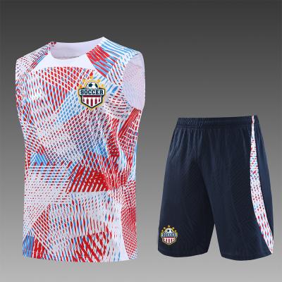 China Colorful Soccer Training Vest Vibrant Eye Catching Football Vest Bibs for sale