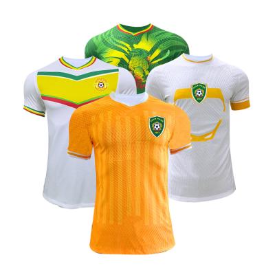 Chine 2023-2024 Africa Cup Jersey Lightweight Twill / Plain Pattern Soccer Team Jersey à vendre