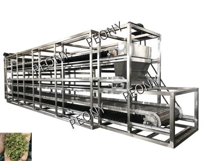 Chine Machine de séchage de fines herbes passionnée continue de circulation d'air de dessiccateur de bande de conveyeur à vendre