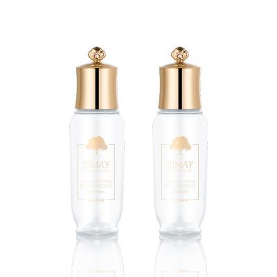 China Frosted Gold Empty Travel Bottle Set 30ml capacity for Toner for sale