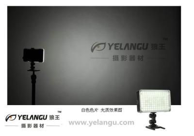 中国 260pcs 専門 LED を使うとビデオ・カメラはキャノン Nikon のカムコーダーのためのライトを導きました 販売のため