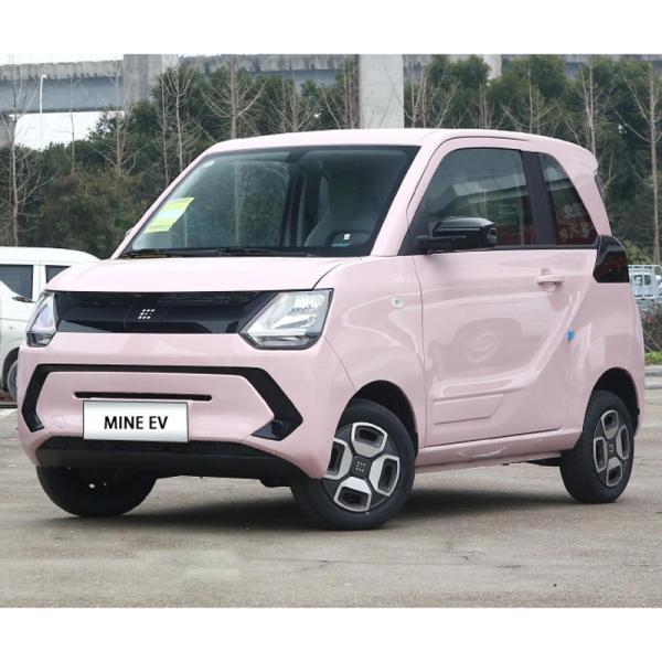 Quality China New Energy Vehicles Pure Cars Dongfeng EV Mini Electric Car for sale