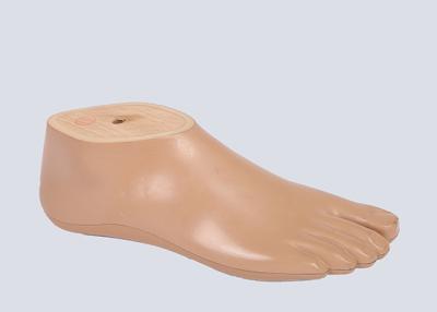 China Tamanho inoxidável do poliuretano protético artificial 12cm-30cm do pé de Sach à venda