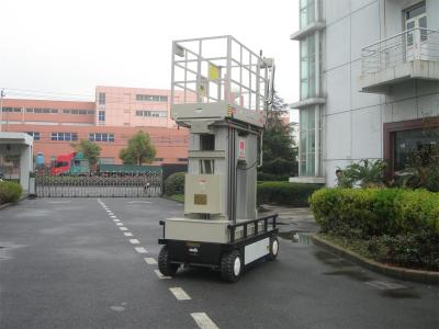 China Indoor / Outdoor Self Propelled Aerial Work Platform 10m 300kg Loading For Two Persons for sale