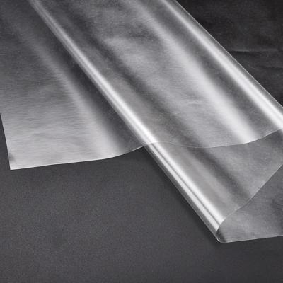 China Low Melting Point 0.05mm EVA Hot Melt Adhesive Film For Textile Fabric for sale