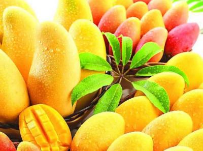 China cadena de producción aséptica de la pulpa del mango del embalaje del bolso 220L 2t/H en venta
