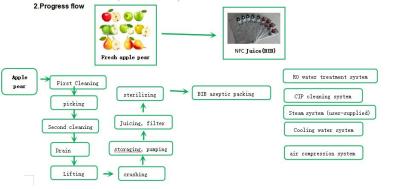 中国 Automatic Fruit Production Line 500 - 1000L/H 80000 KG Easy Operate 販売のため