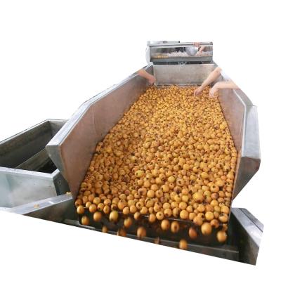 Chine 150kw Energy Efficient Fruit Vegetable Processing Line For Cost Effective Production à vendre